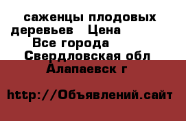 саженцы плодовых деревьев › Цена ­ 6 080 - Все города  »    . Свердловская обл.,Алапаевск г.